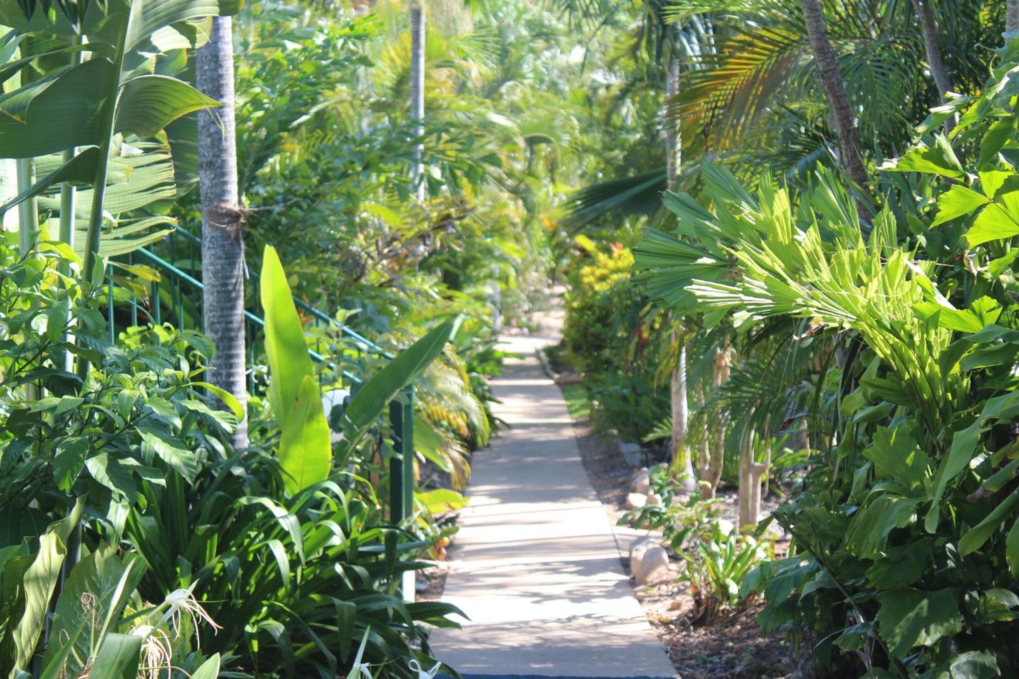 Amaroo On Mandalay, Magnetic Island Hotell Nelly Bay Exteriör bild